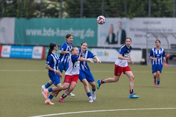 Bild 381 - wBJ Hamburger SV - FC Suederelbe : Ergebnis: 9:0
